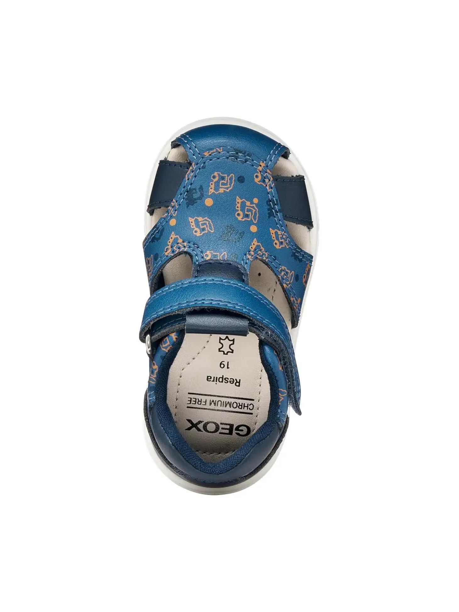 RAGNETTO BAMBINO - GEOX AVIO - B556EC 05404