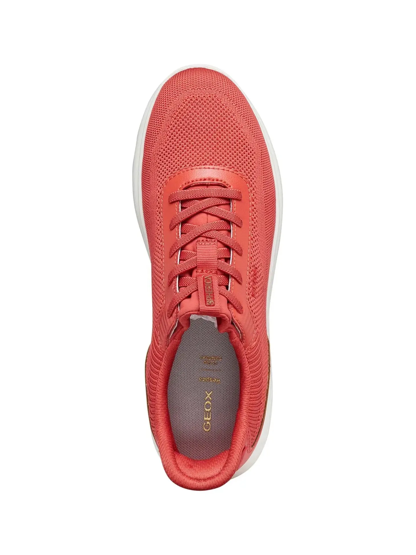 SNEAKERS DONNA - GEOX CORALLO - D557MA 06KBC