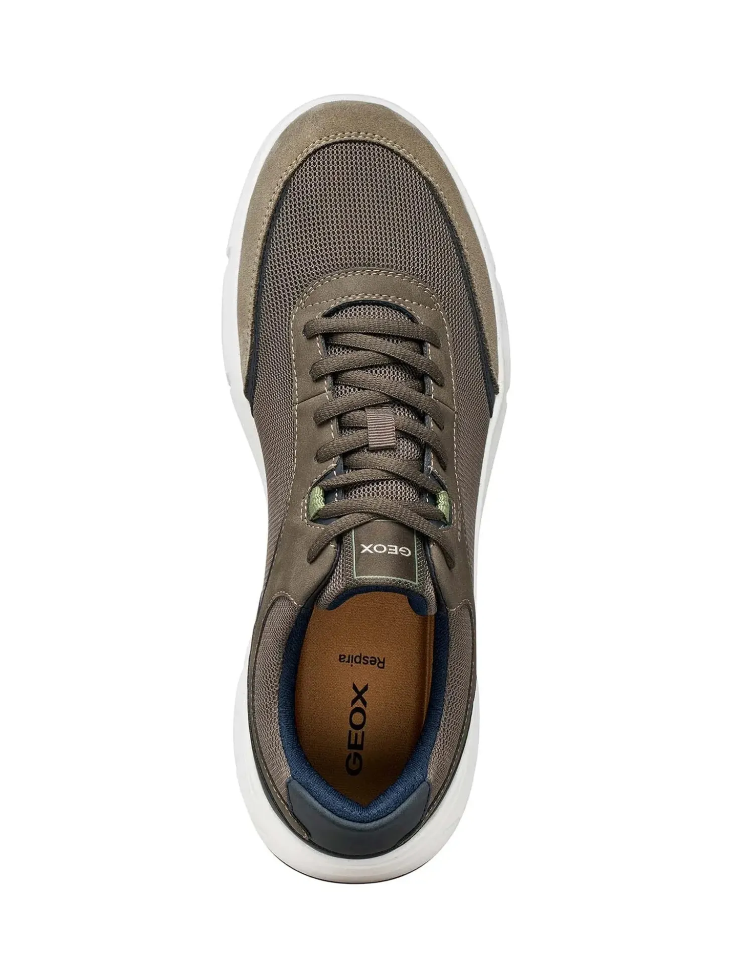 SNEAKERS UOMO - GEOX TORTORA - U65N8A 01422